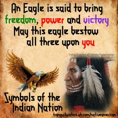 an eagle is said to bring freedom, power and victory