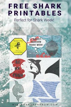 shark stickers on the back of a car with text that reads free shark printables perfect for shark week