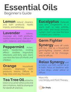 Essential Oils Beginners Guide, Face Massage Oil, Homemade Oil, Young Living Oils, Doterra Oils