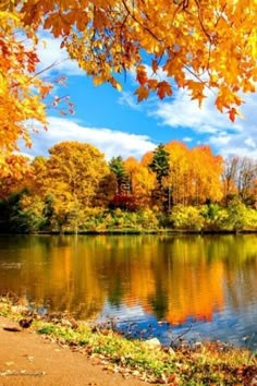 a lake surrounded by trees in the fall