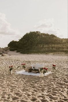 an outdoor ceremony set up on the beach with flowers in vases and petals around it