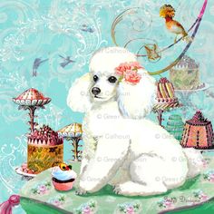 a white poodle sitting on top of a table next to cupcakes and cakes