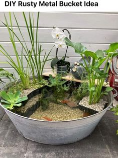 a metal bucket filled with plants and gravel