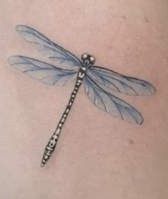 a blue dragonfly tattoo on the stomach