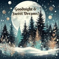 a night scene with trees and snow in the foreground that says goodnight and sweet dreams