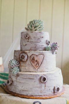 a three tiered wedding cake with succulents on top