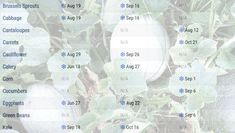 a number of different types of vegetables growing in the ground with numbers on them that indicate which plants are best for each type of plant