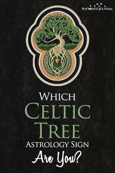 the book which celtic tree astrology sign are you? by john wyborn