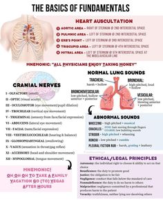 the anatomy of the human body and its functions in order to understand what it is