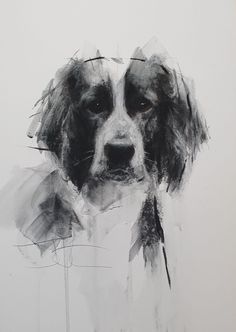 a black and white drawing of a dog