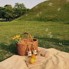 two bottles of beer are sitting on a blanket in front of a basket with lemons and oranges