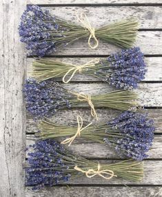 three bundles of lavender flowers tied with twine on an old wooden planks background