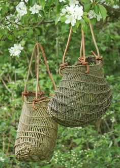 two woven baskets hanging from a tree in the middle of some trees with white flowers