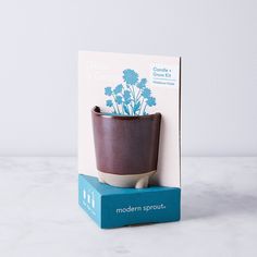 the modern sprout planter is on top of a blue box and it's packaging