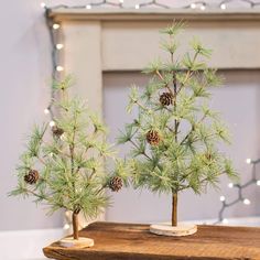 two small pine trees sitting on top of a wooden table next to a mirror with lights