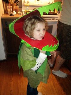 a young child wearing a costume made to look like a watermelon