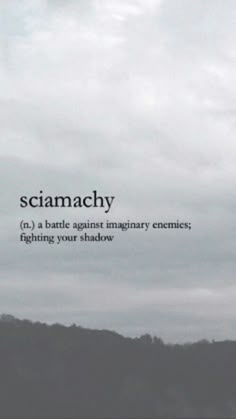 an airplane flying in the sky with words above it that read, sciamachy