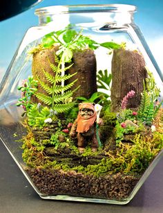 a glass jar filled with plants and rocks