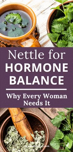 Benefits Of Nettle, Hormonal Imbalance Symptoms, Hormone Imbalance Remedies, Hormone Balancing Tea, Hormone Balancing Diet, Nettle Leaf, Hormonal Imbalance, Stinging Nettle