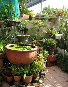 a garden filled with lots of potted plants