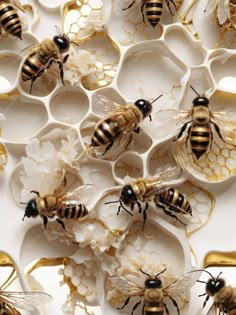 several bees sitting on top of white plates