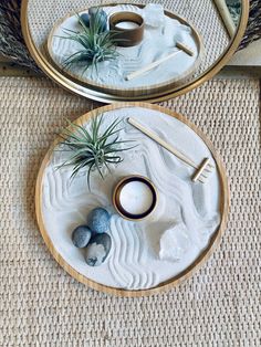 two trays with plants and rocks on them