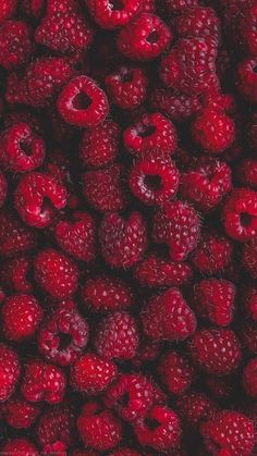 raspberries are shown in close up with the camera pointed at them, and there is