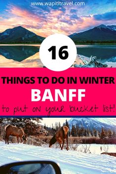 the top things to do in winter in banff