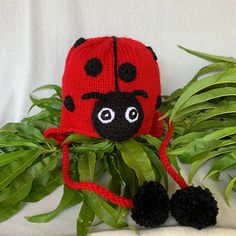 a knitted ladybug hat sitting on top of a green leafy plant