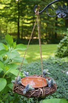 a bird feeder hanging from the side of a tree in a garden with green plants