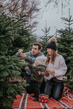 a man and woman sitting on a blanket in front of christmas trees with their child