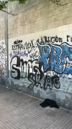 graffiti on the side of a building in an alleyway with a black cat laying under it