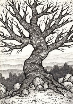 a black and white drawing of a tree in the middle of a field with rocks