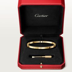 Diamonds Bangles, Screw Bracelet, Cartier Necklace, Platinum Bracelet, Ride A Bike, Bracelets Design, Bracelet Love, Love Bracelet, Cartier Love