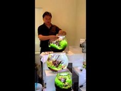 a man standing in front of three fish bowls filled with plants and other small things