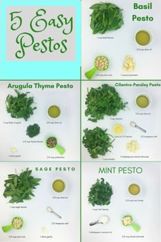 the steps in how to make pesto for pesto sauces and other foods