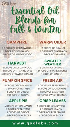 Fall Scents Essential Oils, Best Essential Oil Blends, Fall Essential Oil Blends, Fall Essential Oils, Essential Oil Combinations, Essential Oil Diffuser Blends Recipes, Essential Oils Guide, Essential Oils Herbs, Essential Oil Diffuser Recipes