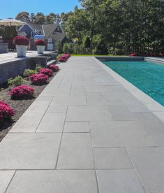 a walkway next to a pool with flowers in it