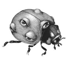 a black and white drawing of a bug with its head turned to look like it's coming out of the ground