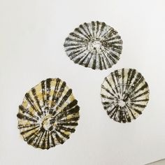 three seashells are shown on a piece of paper that has been drawn with ink