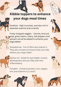 a poster with different dogs on it's side and the words kibble toppers to enhance your dogs meat times