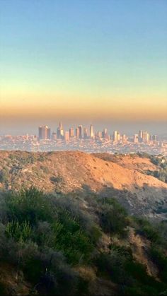 a view of the city skyline from atop a hill with trees and bushes in foreground