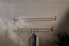 two coats hanging from hooks on a wall next to a potted plant and towel rack