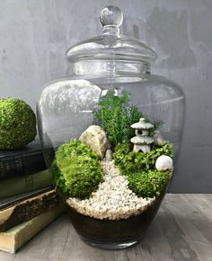 a glass jar filled with moss and rocks on top of a table next to books