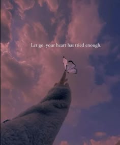 a person holding a butterfly in their hand with a sky background and the words let go, your heart has tried enough