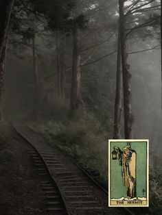 an image of a person standing on train tracks in the woods with foggy trees