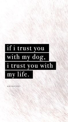 the quote if i trust you with my dog, it trusts you with my life