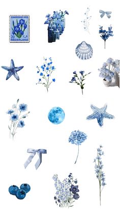 blue flowers and seashells are arranged on a white background with the moon in the distance