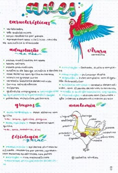 a menu with an image of a bird and the words,'la fiesta '