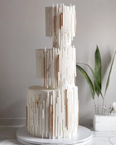 a three tiered white cake sitting on top of a marble table next to a potted plant